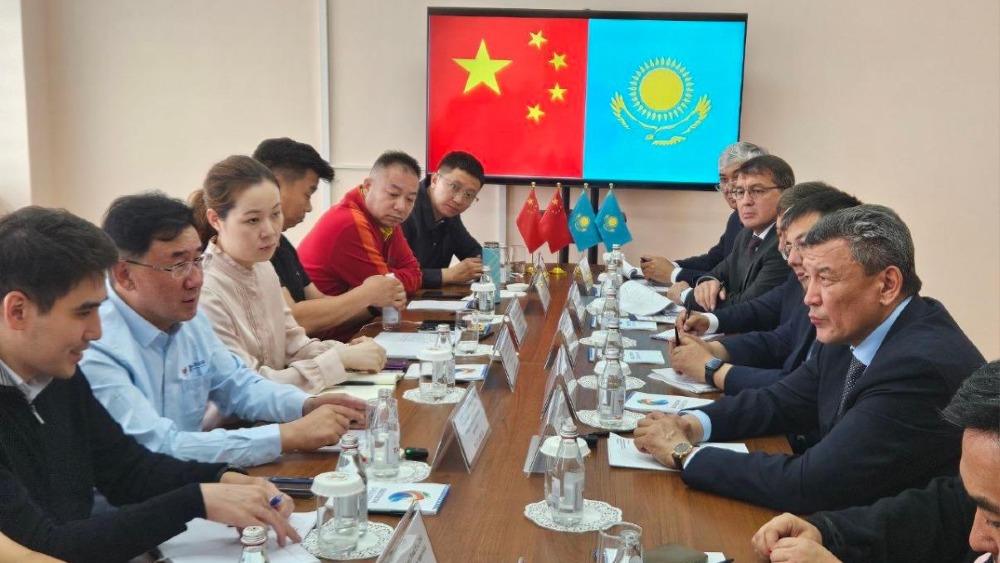 Chinese businessmen express interest in meat from North Kazakhstan region