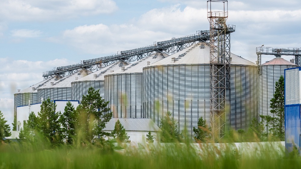 BioOperations Жапонияға бидай глютенін экспорттауды бастады BioOperations Жапонияға бидай глютенін экспорттауды бастады